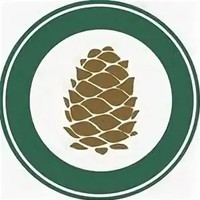 Логотип Доктор Кедр