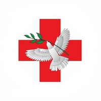 Логотип Научно-исследовательский институт неотложной детской хирургии и травматологии